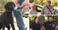 What these drivers at a Virginia rest area said about Labor Day travel