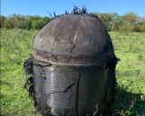 En un campo de Chaco. Qué se sabe de la chatarra espacial que encontraron en Argentina