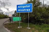 What to know about what’s going on at Alligator Alcatraz