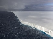 Iceberg that was once world’s largest to melt away within weeks