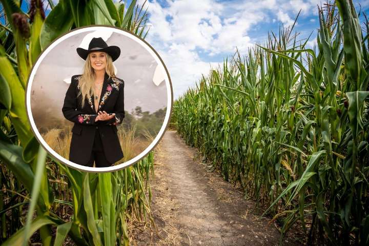 Get Lost with Lainey: Corn Maze in Kentucky Honors Lainey Wilson
