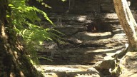 Erie County Parks reminds hikers of safety on Eternal Flame Trail
