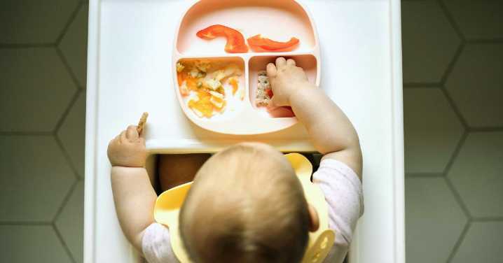 Carnivore Babies Are a Thing Now. Doctors Have Concerns.