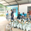 Entregan semillas de maíz variedad Guanape a productores de Bolívar