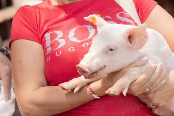 Barrancas entrega recursos productivos para fortalecer el trabajo de mujeres campesinas rurales