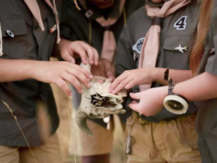 Cómo un grupo de niñas exploradoras atrapadas en un cañón mortal en California fueron rescatadas gracias a sus teléfonos