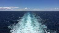 A landmark treaty could protect the high seas