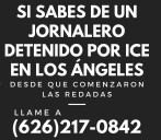 Gobierno niega perfiles raciales