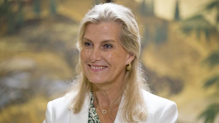 Duchess Sophie goes barefoot in tapered £600 dress