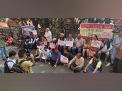 Citizens protest in Shimla demanding action on growing stray dog and monkey menace Photo Source: ANI [ FULL VIEW ]