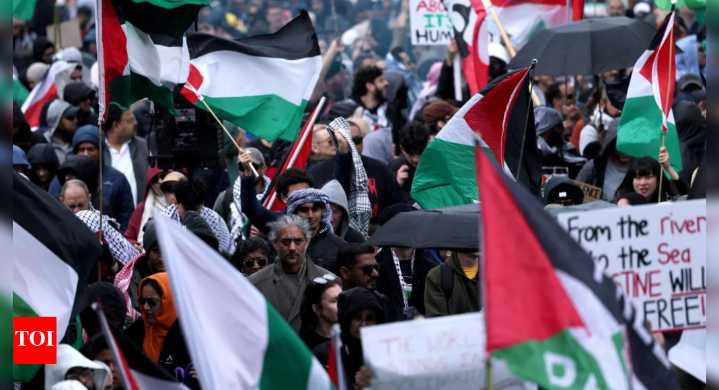 Palestine to join Brics? Envoy submits application