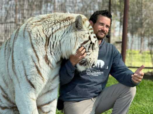 Tiger fatally mauls handler as horrified onlookers watch