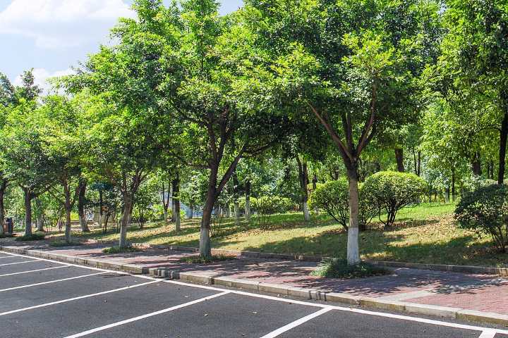 Jacksonville Planning Commission endorses revisions to parking, landscaping regulations