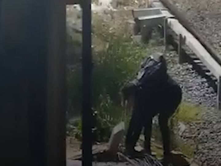 Intento de robo y peligro en las vías del tren Mitre: detuvieron a un hombre y el factor que lo salvó de electrocutarse