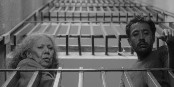 Película “No nos moverán” representará a México en los Premios Oscar y Goya