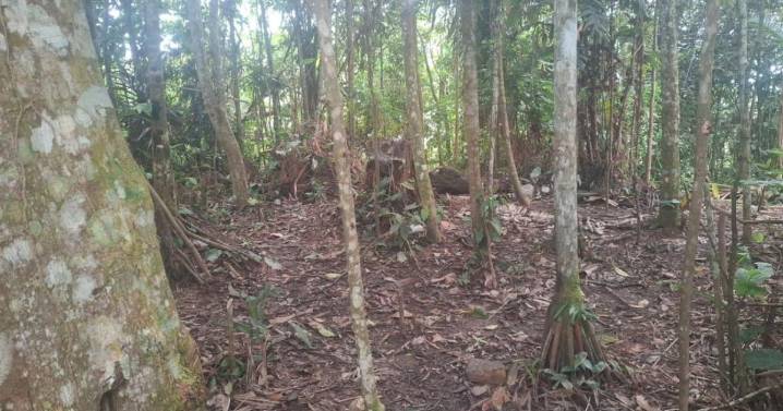 Ejército descubre campamento abandonado del Clan del Golfo en Bolívar
