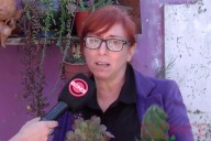 Nueva feria mascotera en Paraná para cubrir gastos veterinarios