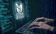 Filtración masiva del IMSS: confirman robo y venta de datos de millones de derechohabientes