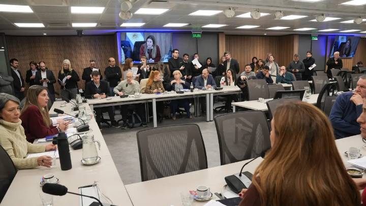 Fentanilo: por una maniobra del oficialismo, Diputados pospuso la creación de una comisión investigadora