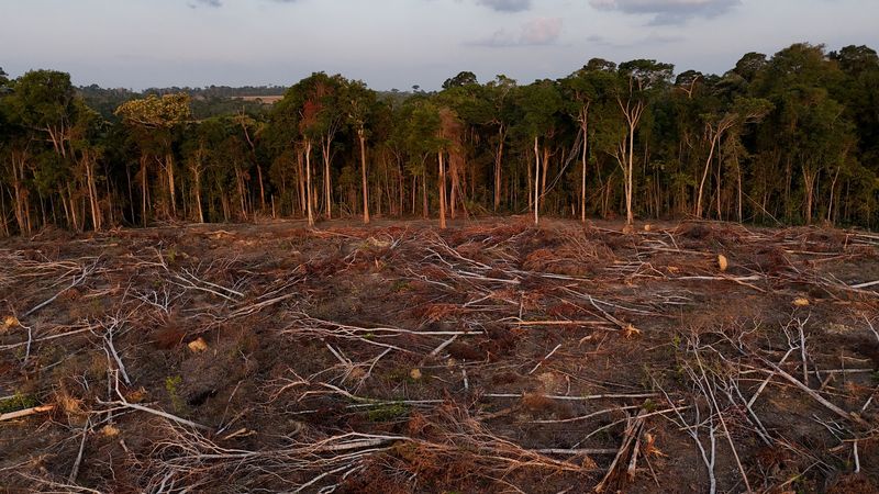 Food grocers urge grain traders to uphold Brazil's soy moratorium initiative