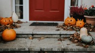 The Fall Decor DIY That'll Put An End To You Buying Harvest Inspired Signs
