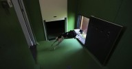 Rome's airport opens luxurious dog hotel with pampering services |