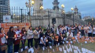 Ultima oportunidad para la ley Nicolás