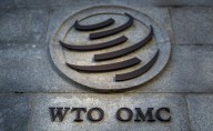 La OMC advierte: IA puede disparar el comercio global, pero aumenta la brecha digital