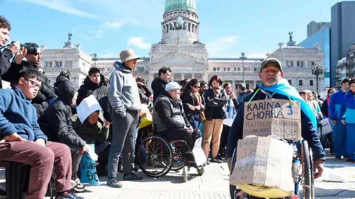 El Senado dejó firme la ley de Emergencia en discapacidad