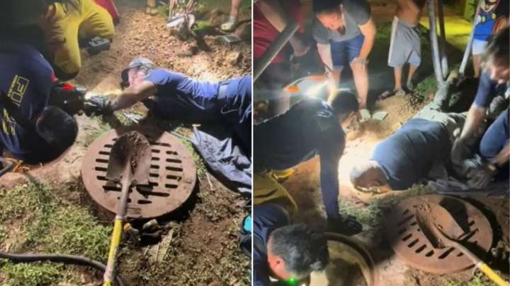 Hawaii Firefighters Dive In To Save Furry Creature After Hearing Barking In Storm Drain
