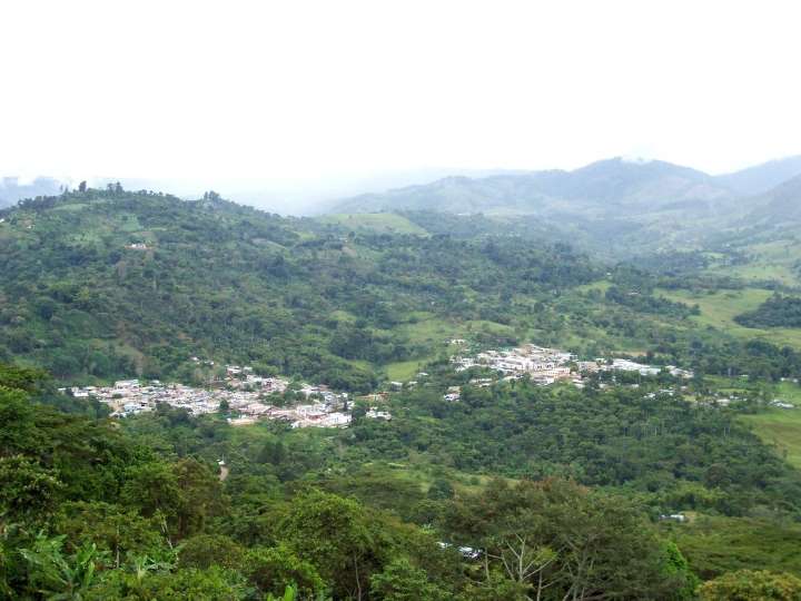 Masacre en Palestina, Huila