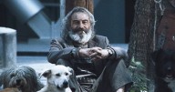 Conoce todas las actividades por los 25 años de Amores perros en México