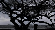 India records 8% surplus rainfall in Monsoon 2025; east & northeast face major deficit