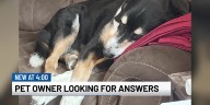 Man says he is seeking legal action after using pet cremation service in Colorado Springs