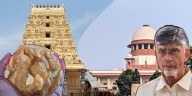 Supreme Court stays Andhra High Court order halting probe into Tirumala laddu row by unauthorised IO
