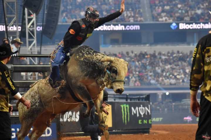 Bull riding, live music: 5 Dallas