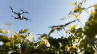 Cerca de 50 países denuncian con gran "preocupación" por los drones rusos en Polonia