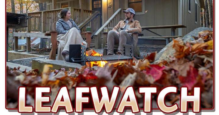Georgia State Parks Leaf Watch now online