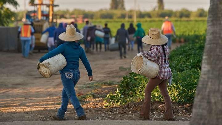 Census Bureau data reveals U.S. labor force has lost over 1.2 million immigrants