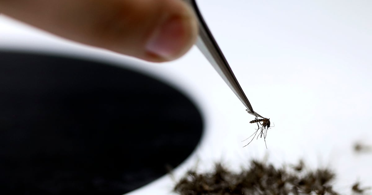 8 human cases of West Nile virus — 1 death — detected in Utah, Davis counties