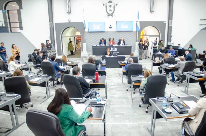 Se partió la UCR por El Medanito: el PJ cedió hacer un nuevo data room y se aprobó la ley