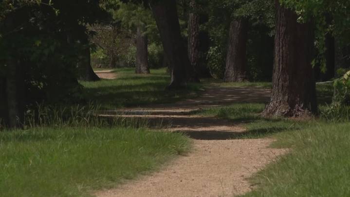 Juvenile suspect arrested in Houston park attack