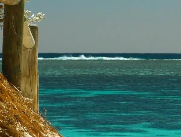 Tragic Dive Off Grassy Key Claims Life Of Plantation Teen