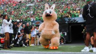 'Terrifying': Oregon Duck dresses up as Labubu in viral video