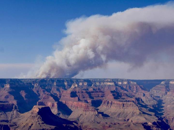 Firefighter dies after having cardiac emergency while fighting Dragon Bravo Fire