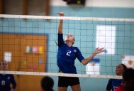 Lansdowne volleyball sweeps Woodlawn behind serving, defense