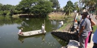 Autoridades investigan mortandad masiva de peces en la Laguna de las Ilusiones