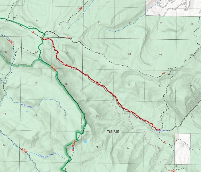 Cinnamon Buck Trail closed due to bear attractants