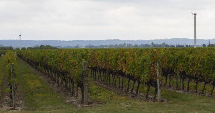 Multimillion-dollar project will grow agriculture industry in north Niagara