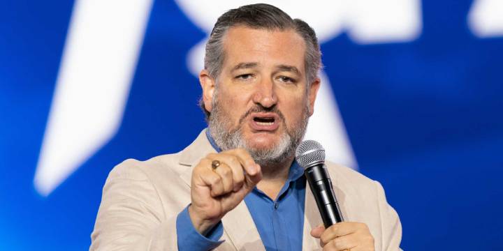 Senator Cruz pitches two-year waiver on AI rules • The Register
